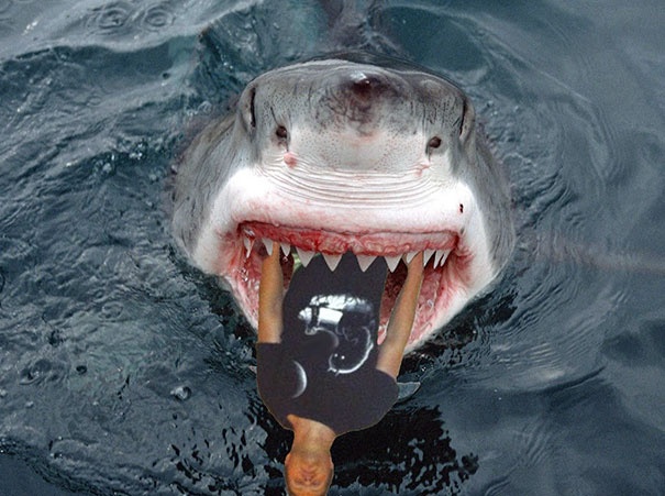 chang trai ngat xiu thanh hien tuong anh che anh 11