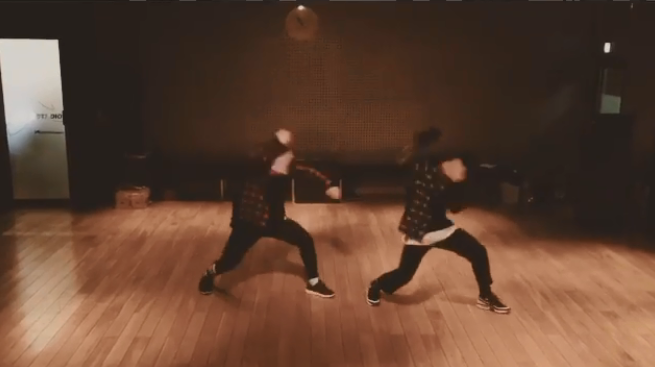 Su phoi hop an y cua Kwon Twins hinh anh