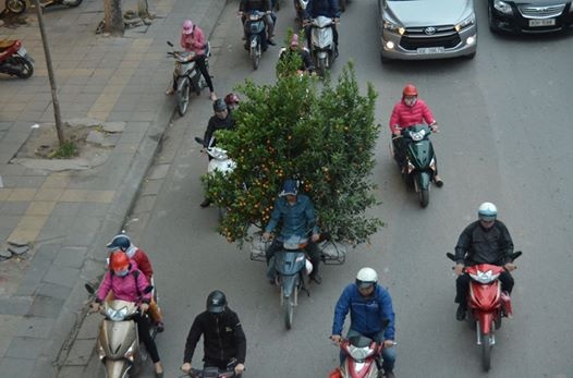 Tac duong 27 tet o Ha Noi anh 4