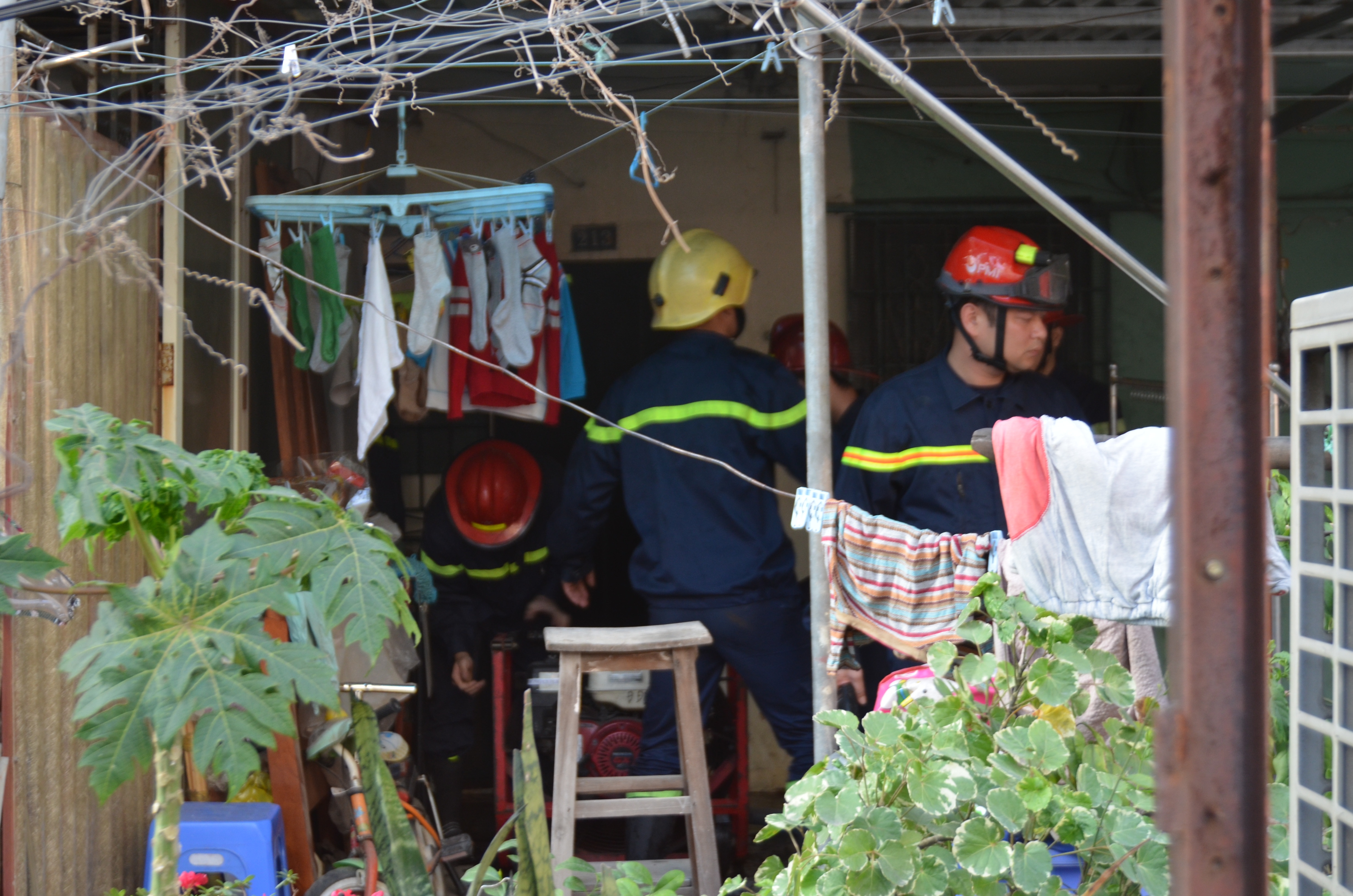 Hoa hoan mong 1 tet do quen thoi tat nen. anh 1