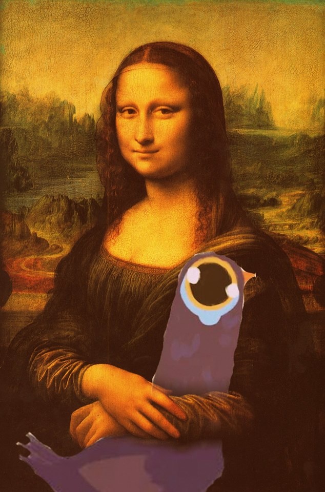 chú chim màu tím ảnh 5 chu chim mau tim anh 5