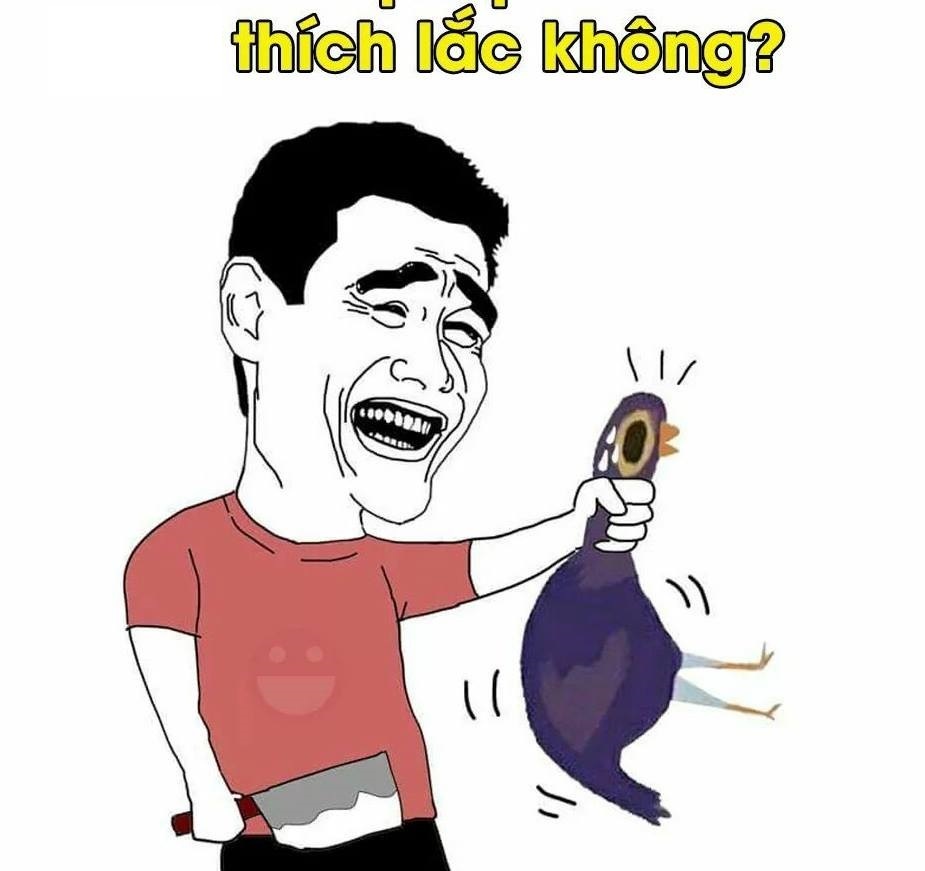 chú chim màu tím ảnh 4 chu chim mau tim anh 4