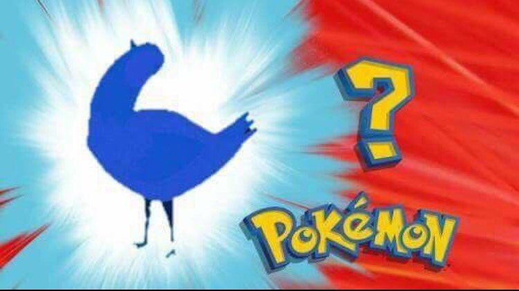 chú chim màu tím ảnh 1 chu chim mau tim anh 1