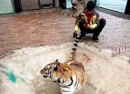 chang trai choi voi ho anh 1