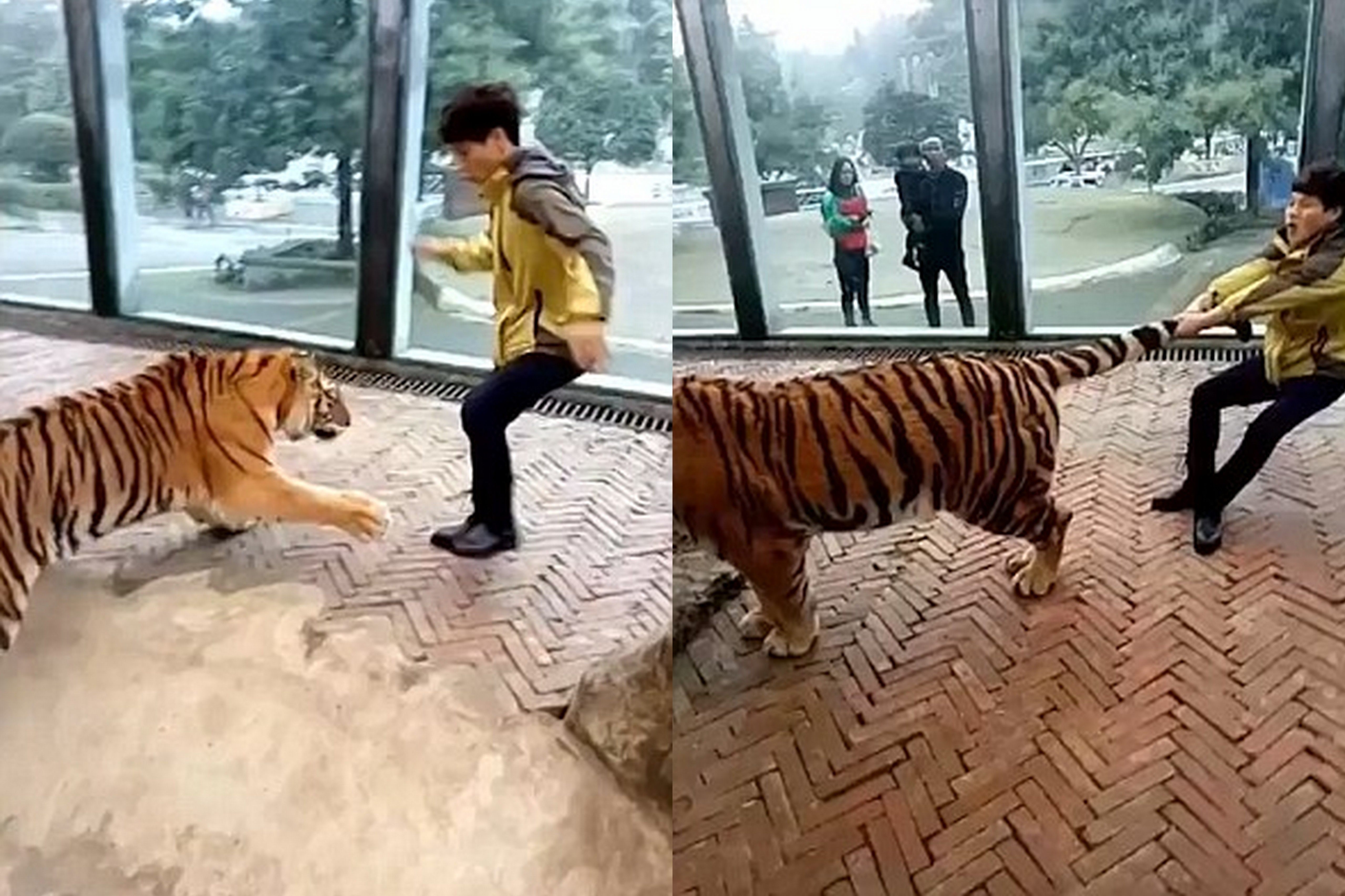 chang trai choi voi ho anh 2