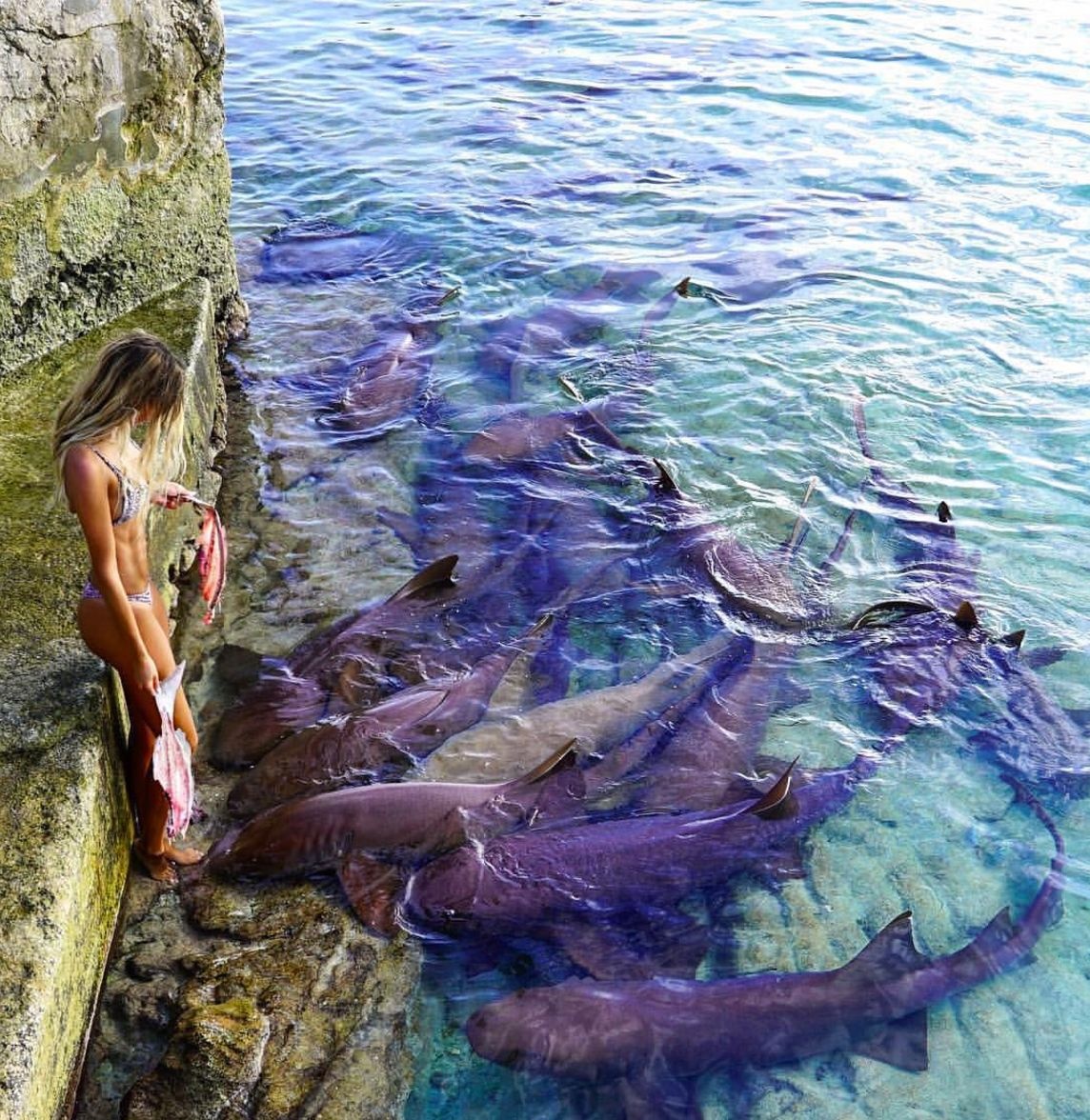 nu sinh chup anh voi dong vat anh 6