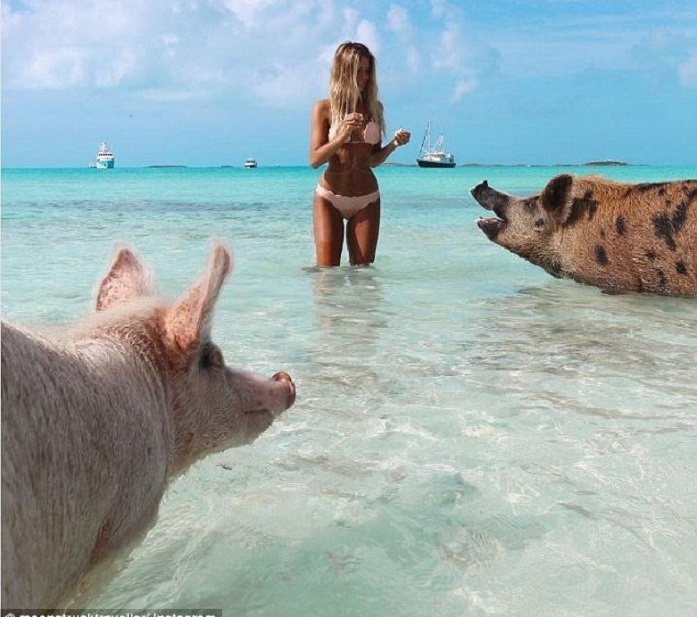 nu sinh chup anh voi dong vat anh 7