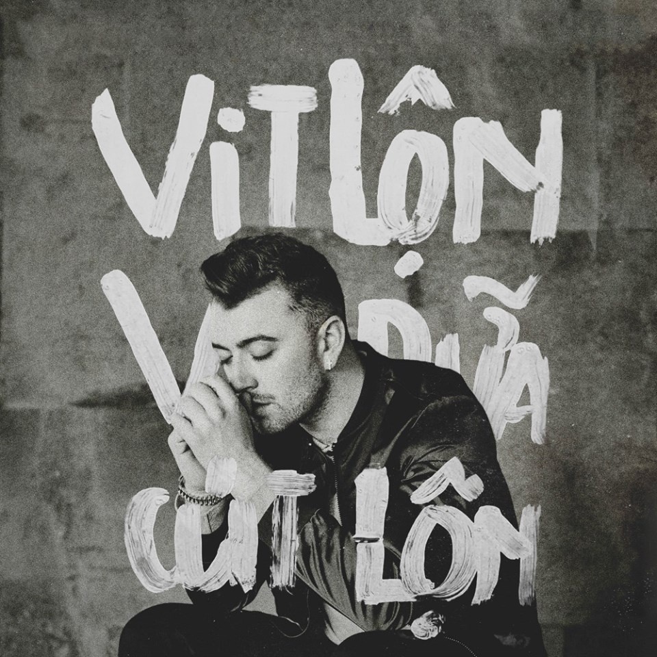 vit lon vit dua cut lon anh 7