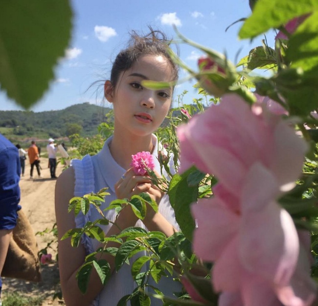 công chúa cello ảnh 5 cong chua cello anh 5