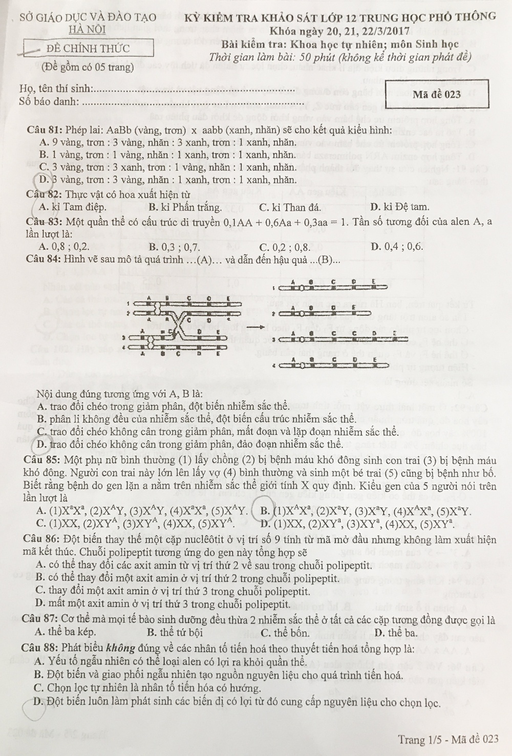 thi thu thpt quoc gia anh 9