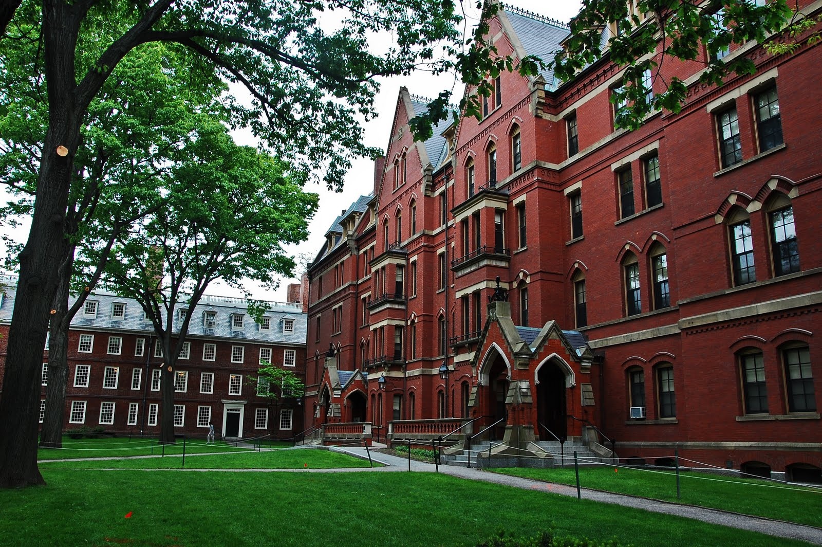 Dai hoc Harvard se the nao vao nam 2021? hinh anh