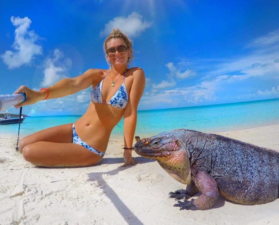 9X danh bai benh tram cam nho dong vat anh 1