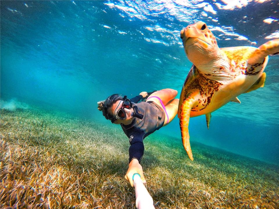 9X danh bai benh tram cam nho dong vat anh 2