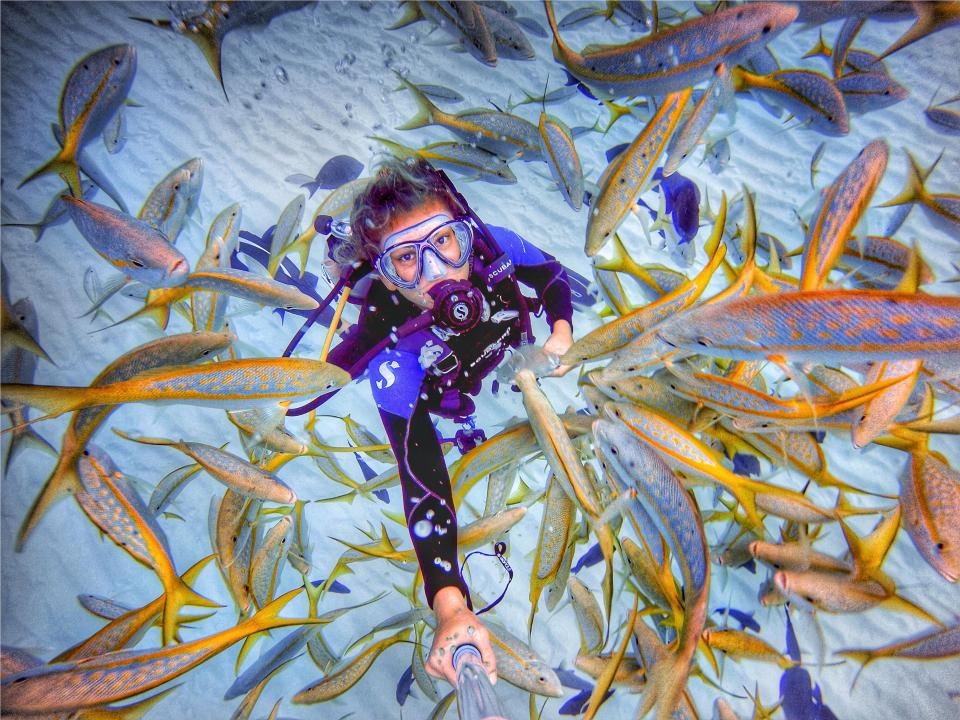 9X danh bai benh tram cam nho dong vat anh 4