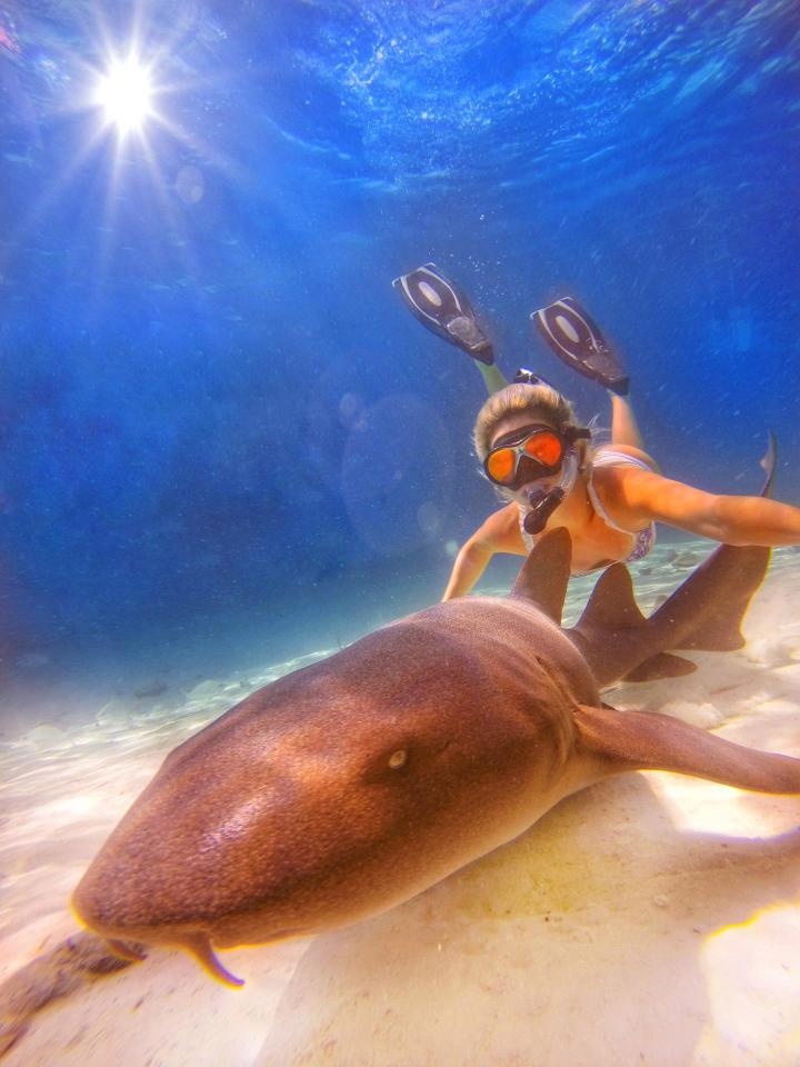 9X danh bai benh tram cam nho dong vat anh 6