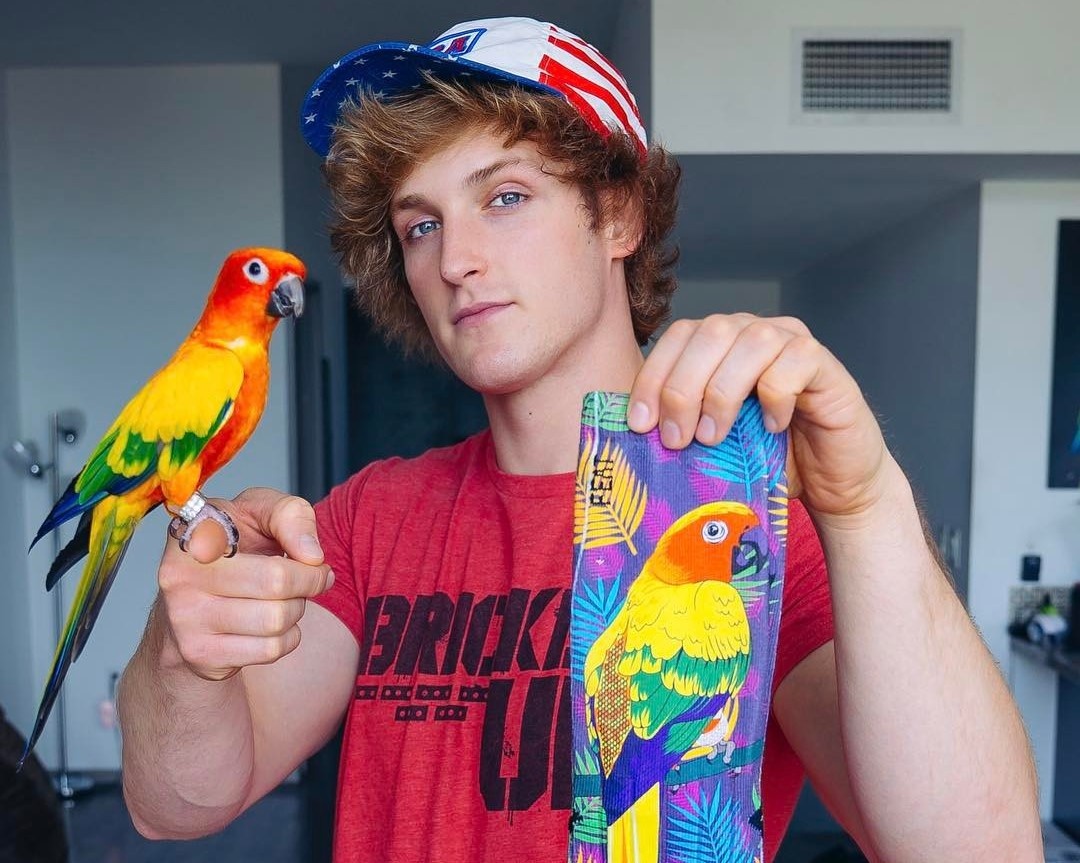 Logan Paul anh 6