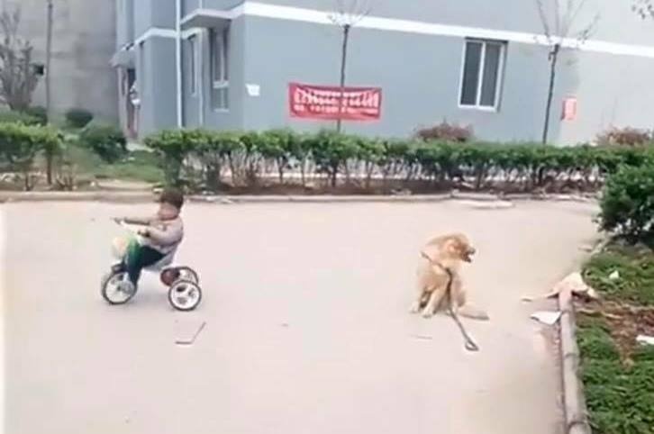 Chu cho chan oto dang chay de cuu chu hinh anh