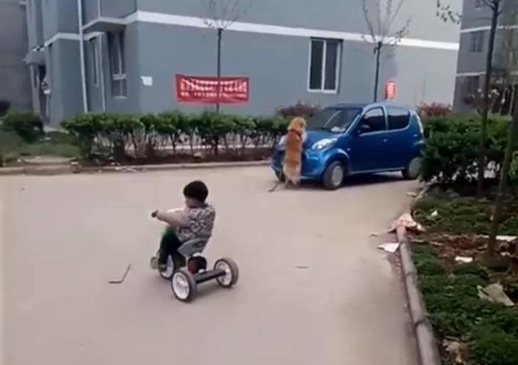 chú chó chặn ôtô cứu chủ ảnh 1 chu cho chan oto cuu chu anh 1