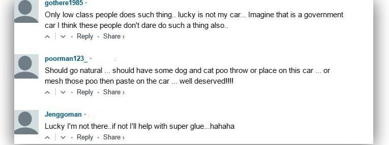 dan giay mau len oto anh 2