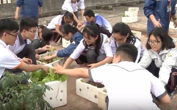Hoc sinh bien noc toa nha thanh vuon rau sach hinh anh