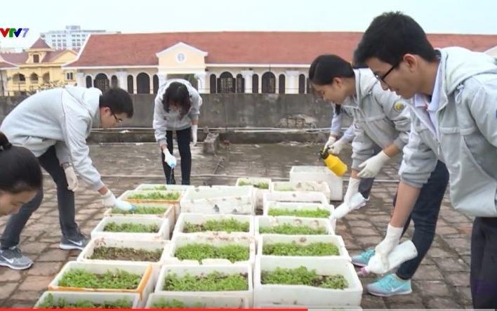 Hoc sinh trong rau sach tren san thuong hinh anh