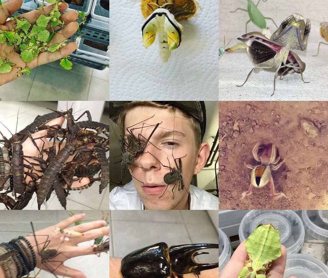 chang trai cho con trung len mat anh 1