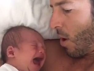 Ong bo do con bang am thanh dac biet hinh anh