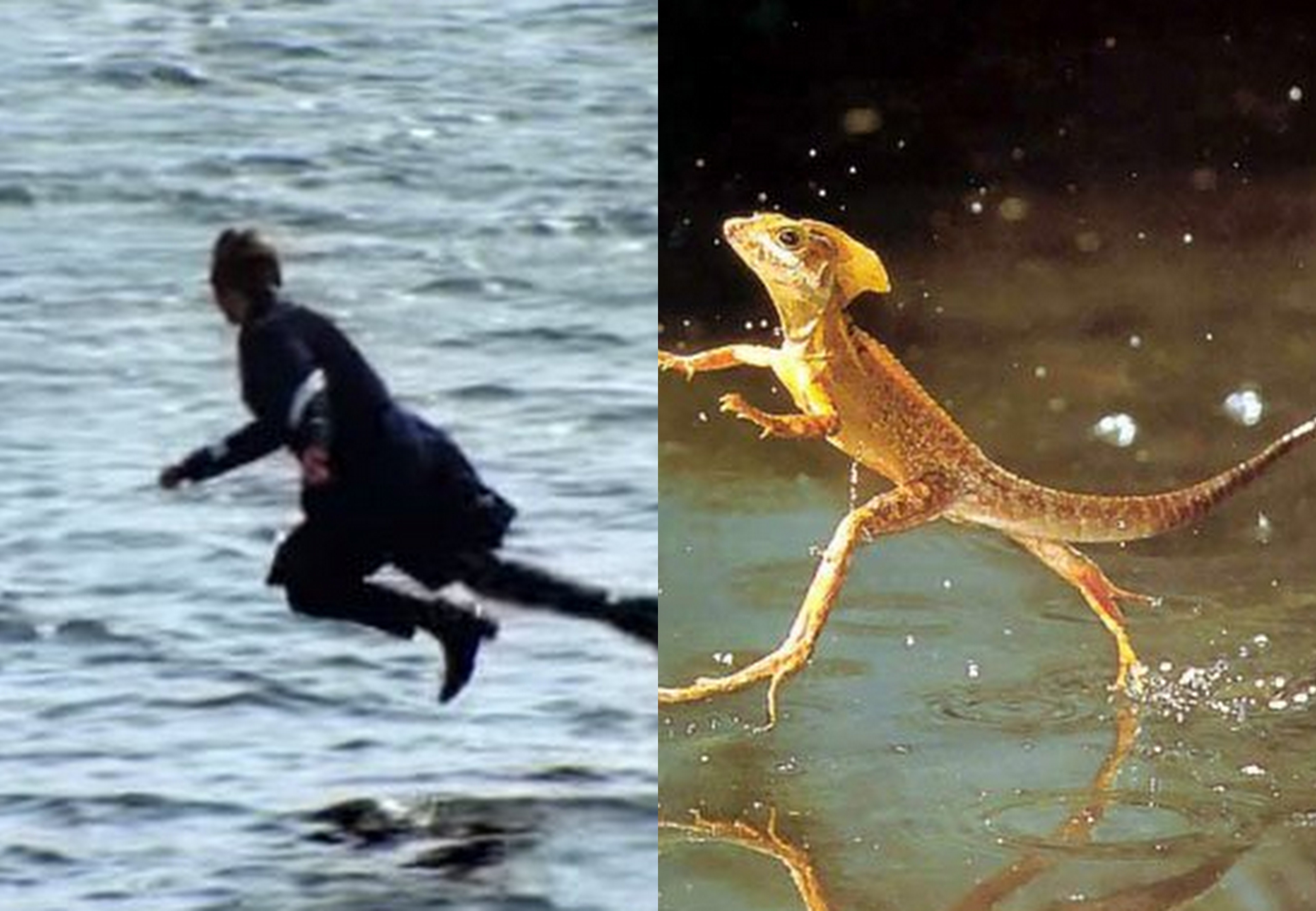 Harry Styles ảnh 2 Harry Styles anh 2