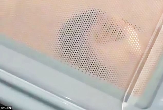 Co gai bi len an vi nuong chuot bang lo vi song hinh anh