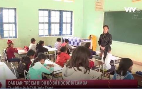 Dak Lak: Tre em bi du do bo hoc di lam thue xa hinh anh