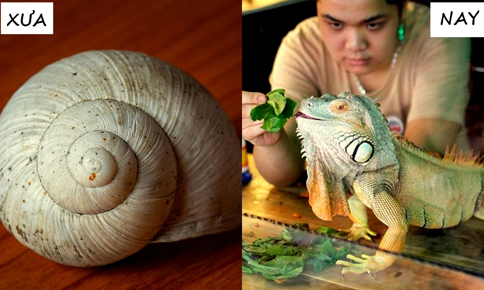 tro choi thoi xua va nay anh 10