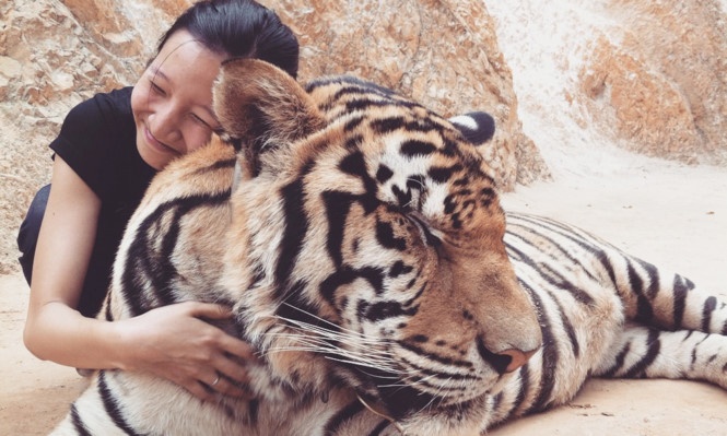 Nuoi cop, day hoc va nhung chuyen di de thau hieu ban than hinh anh