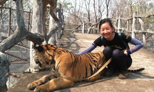 Tran Buu Quynh Anh,  To Thi Linh Tam,  nuoi cop,  day hoc,  tinh nguyen vien,  du lich anh 1