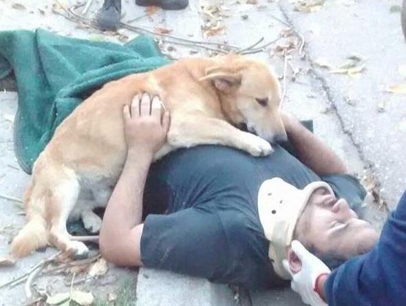 Chu cho quyet khong roi nguoi chu bi nga bat tinh hinh anh