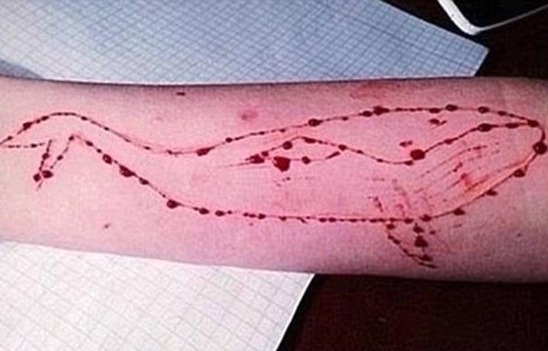 Bat nam sinh lan toa trao luu chet nguoi 'Ca voi xanh' o Trung Quoc hinh anh