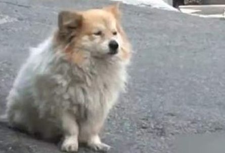 Chu vao vien duong lao, chu cho van o nha cho trong 3 nam hinh anh