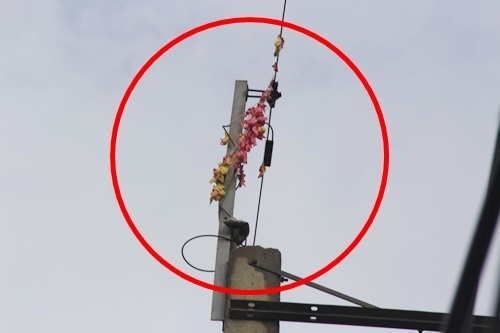 chàng trai thiệt mạng khi lấy tiền trên cột điện ảnh 2 chang trai thiet mang khi lay tien tren cot dien anh 2