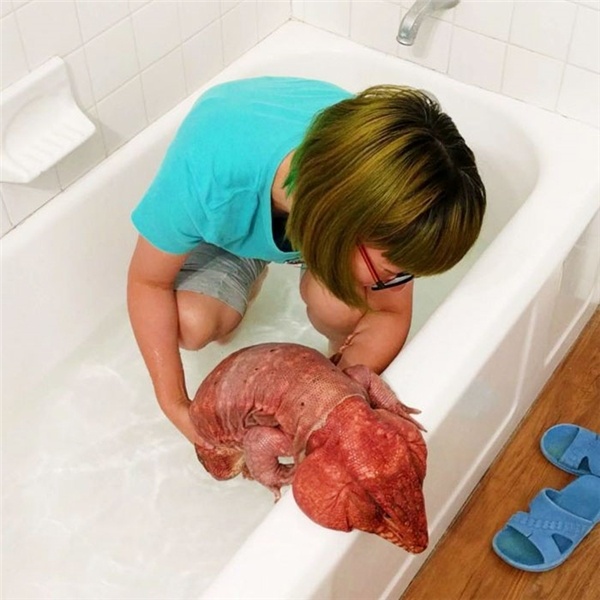 chu than lan khong lo noi tieng tren mang anh 4