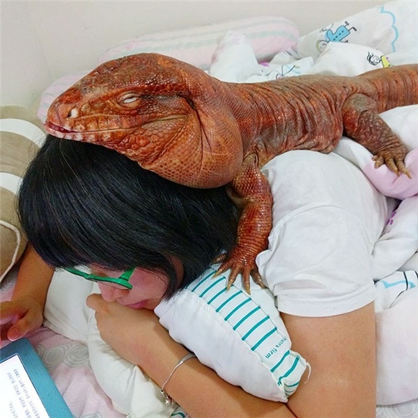 chu than lan khong lo noi tieng tren mang anh 2