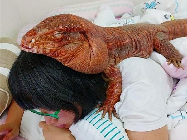 Chu than lan khong lo noi tieng nhat tren Instagram hinh anh