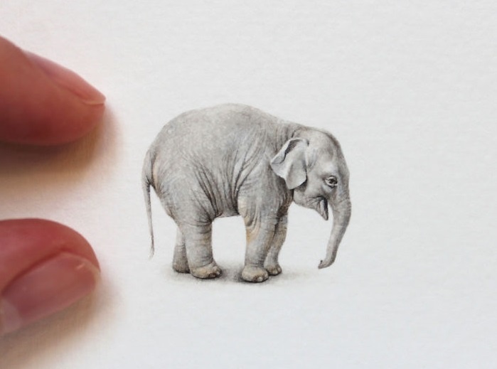 tranh ti hon 3 cm anh 1