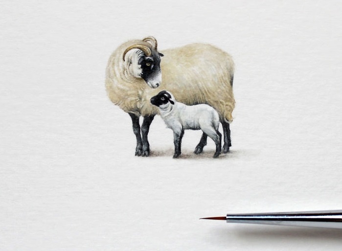 tranh ti hon 3 cm anh 8