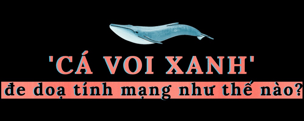 ca voi xanh anh 3