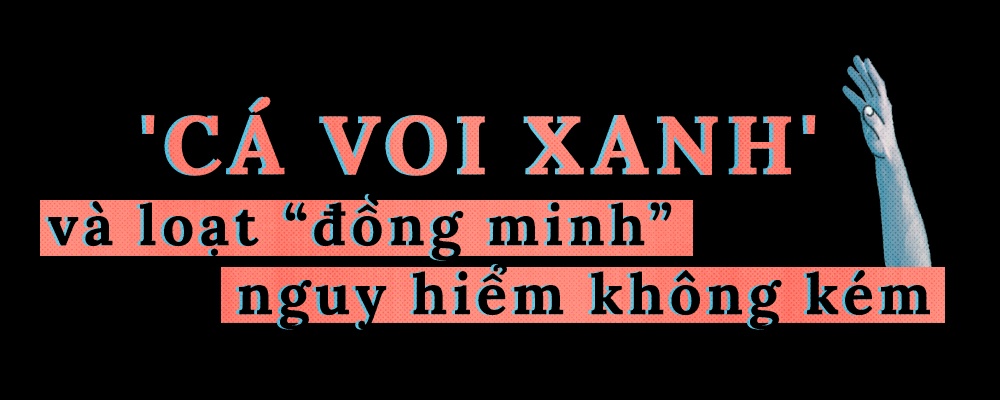 ca voi xanh anh 6