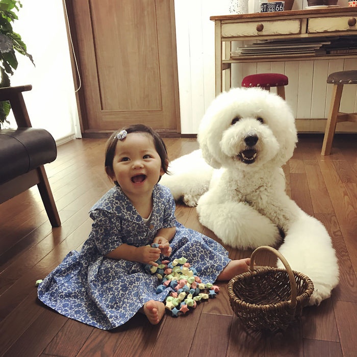 Be gai Nhat Ban noi tieng Instagram voi bo anh cung dan thu cung hinh anh