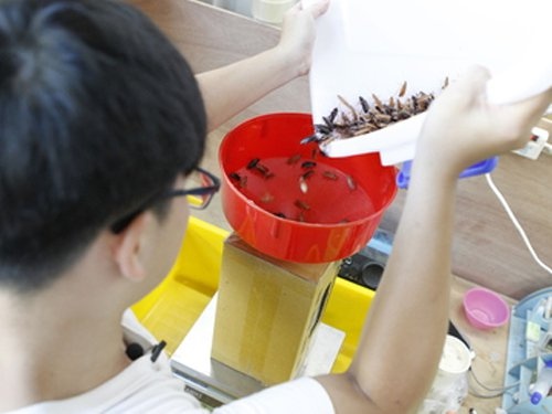 chàng trai bán gián ảnh 2 chang trai ban gian anh 2