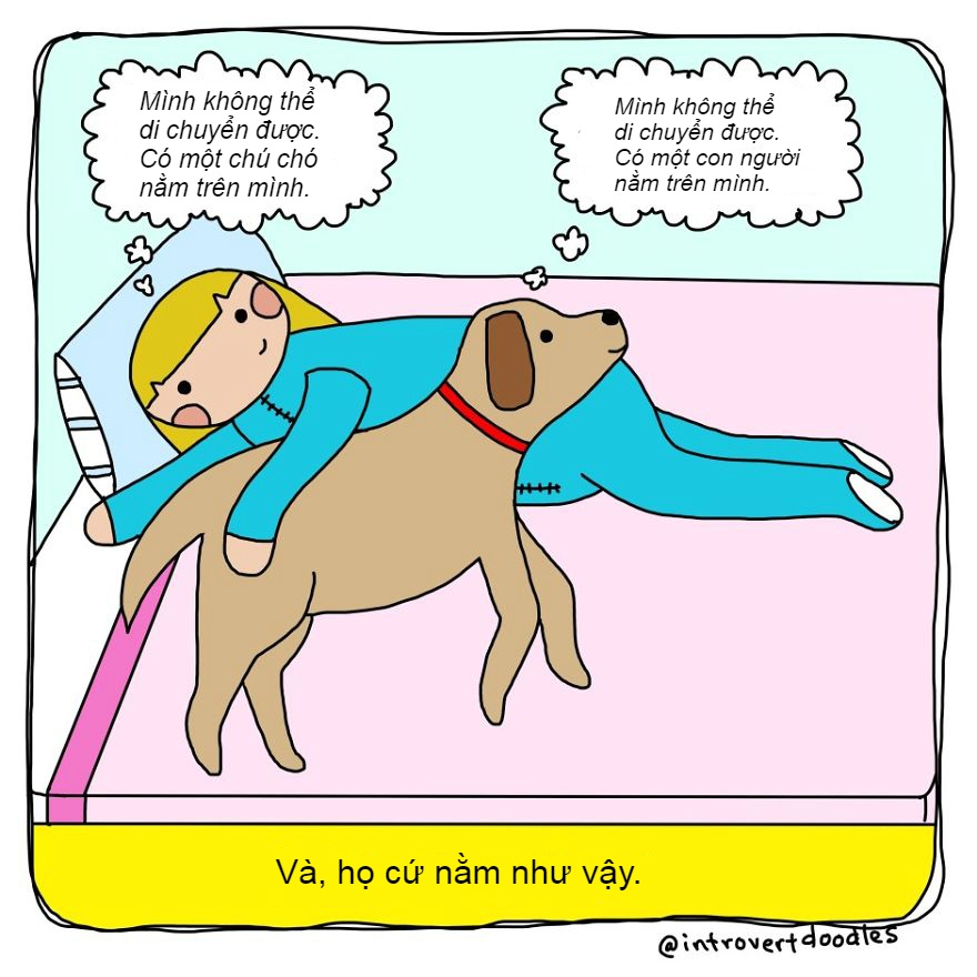 tinh huong hai huoc cua hoi yeu cho anh 1