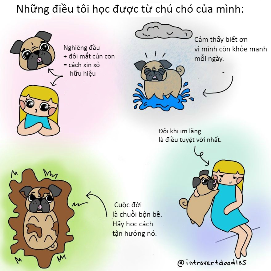tinh huong hai huoc cua hoi yeu cho anh 7
