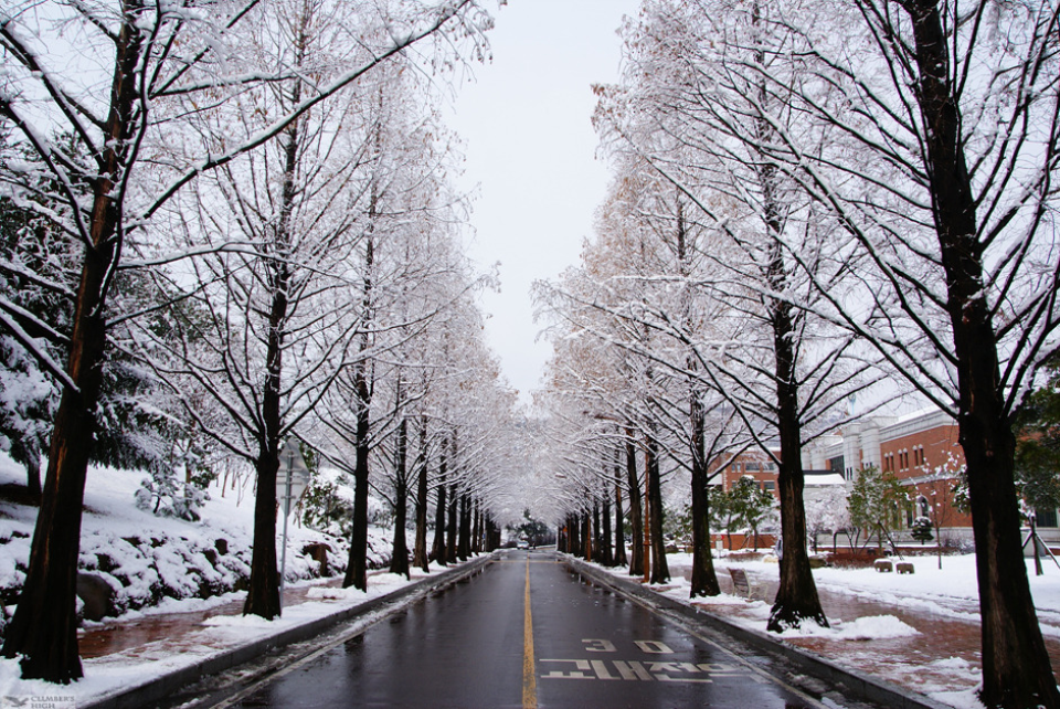 Dai hoc Keimyung anh 6