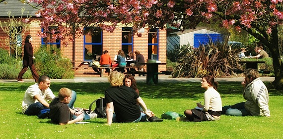 nhap khau giao duc Bac Au anh 2